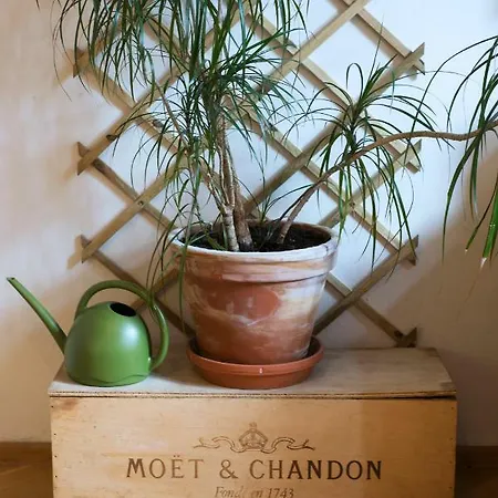 Victoria Design - Slavojova Lejlighed